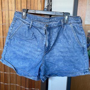 American Eagle Size 16 Mom Short